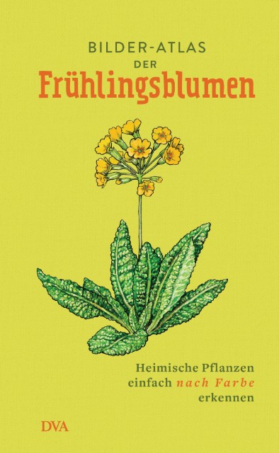 Bilder-Atlas der Fruehlingsblumen von