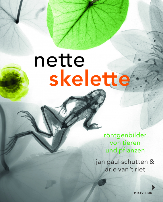 skelette